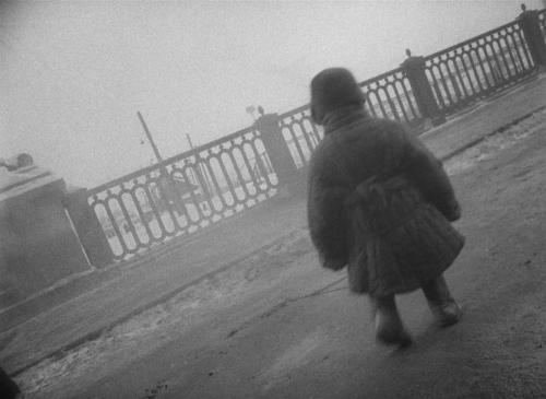 The Cranes Are Flying 50