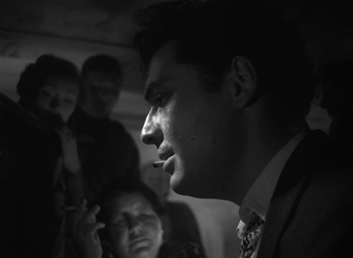 The Cranes Are Flying 54