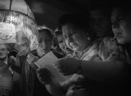 The Cranes Are Flying 56