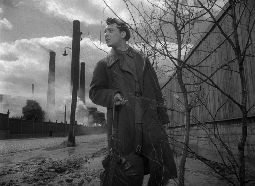 The Cranes Are Flying 58