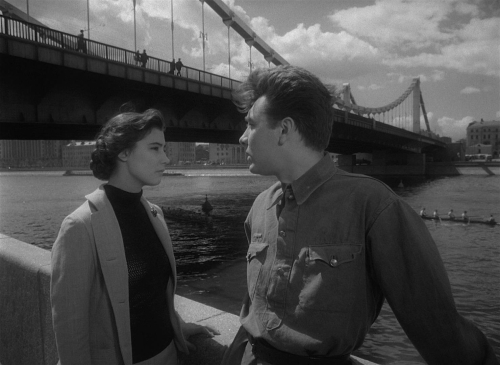 The Cranes Are Flying 60