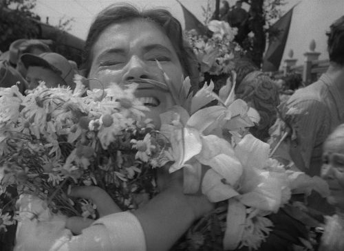 The Cranes Are Flying 61