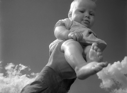 The Cranes Are Flying 63