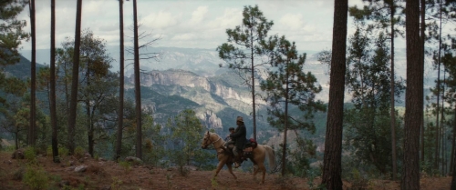 The Dead Don't Hurt 32