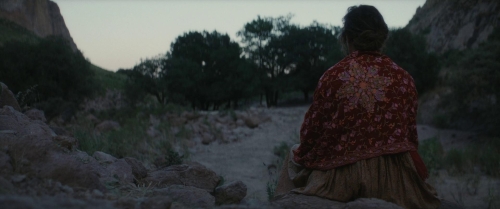 The Dead Don't Hurt 39