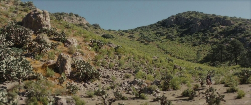 The Dead Don't Hurt 43