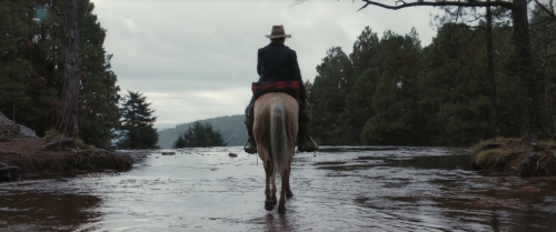 The Dead Don't Hurt 50