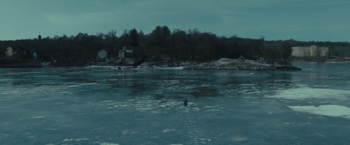 The Girl In The Spiders Web 21