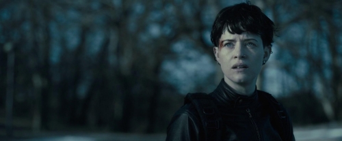 The Girl In The Spiders Web 22