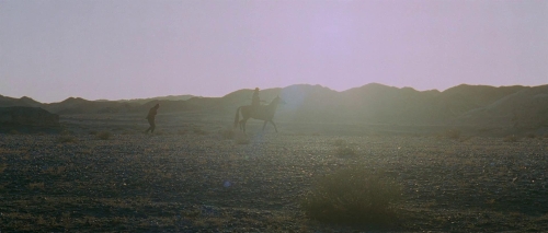 The Good, The Bad and The Weird28