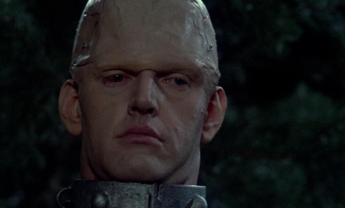 The Horror of Frankenstein 51