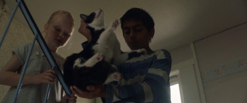 The Innocents 2021 16