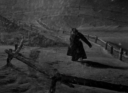 The Invisible Man 1933 02