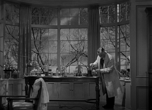 The Invisible Man 1933 10