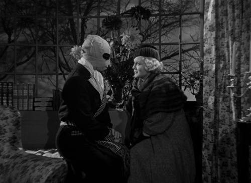 The Invisible Man 1933 43