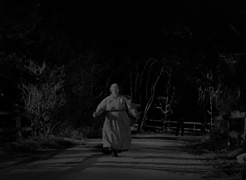 The Invisible Man 1933 47