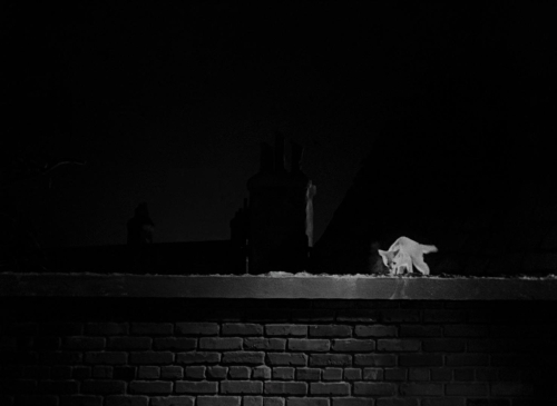 The Invisible Man 1933 55