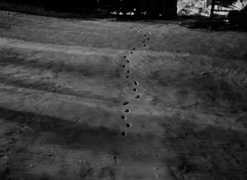 The Invisible Man 1933 61