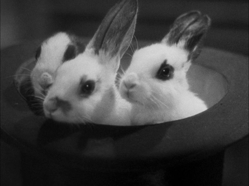 The Lady Vanishes 43