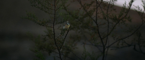 The Last Stop In Yuma County 53