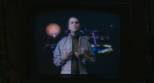 The Life Of Chuck 40