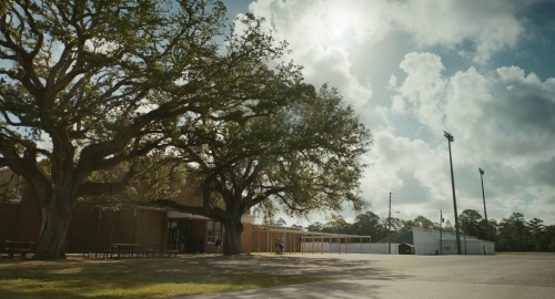 The Life Of Chuck 51