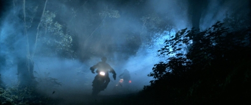 The Lost Boys  26