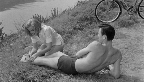 The Manchurian Candidate 1962 28