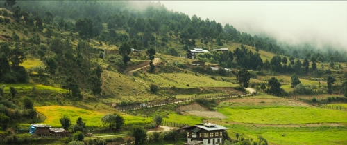 The Monk  The Gun 10