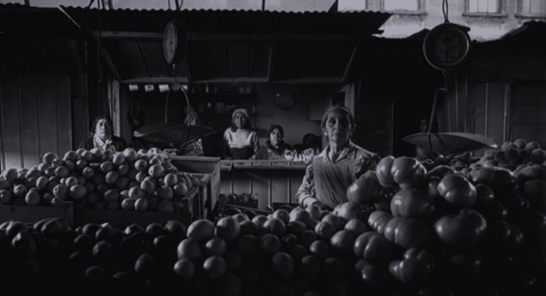 The Motorcycle Diaries 65