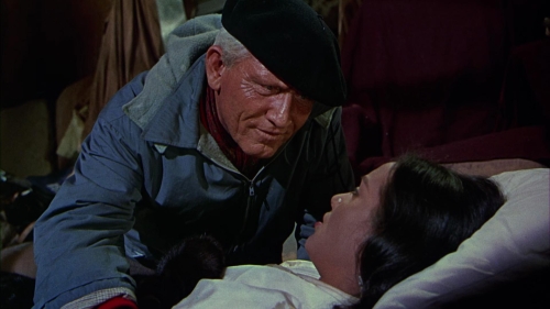 The Mountain 46