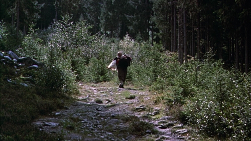 The Mountain 56