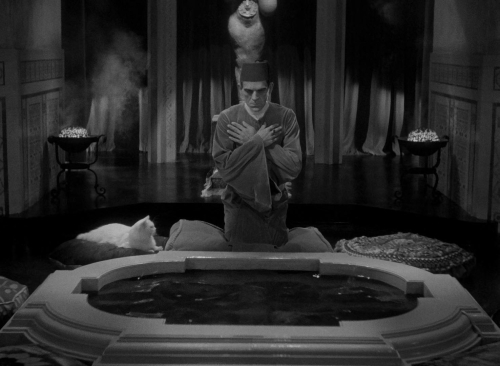The Mummy 41