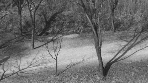The Novelist's Film 06