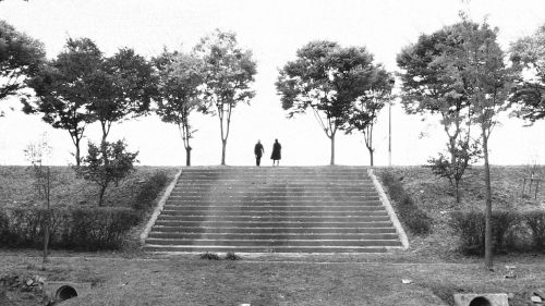 The Novelist's Film 20
