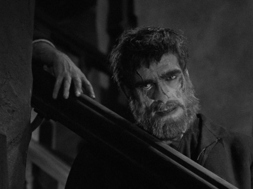 The Old Dark House 41