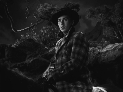 The Ox Bow Incident 22