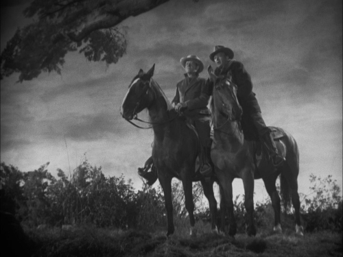 The Ox Bow Incident 38