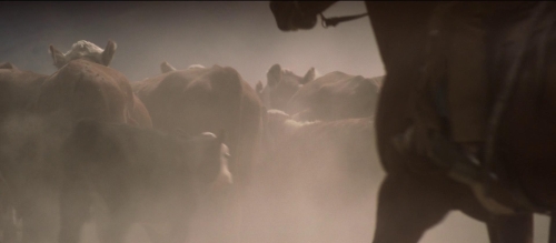 The Power of the Dog 01