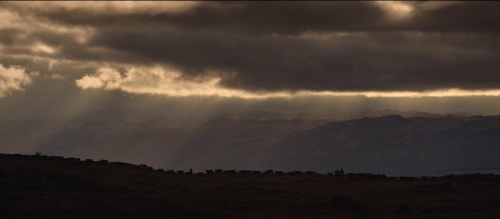 The Power of the Dog 05