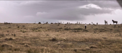 The Power of the Dog 08