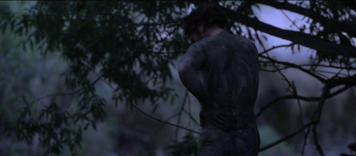 The Power of the Dog 21