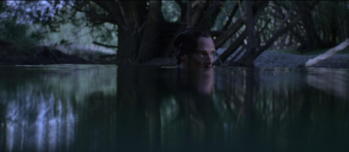 The Power of the Dog 22