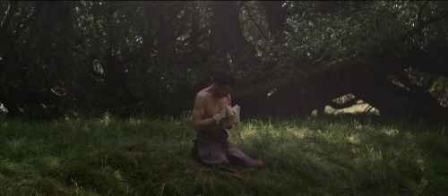 The Power of the Dog 31