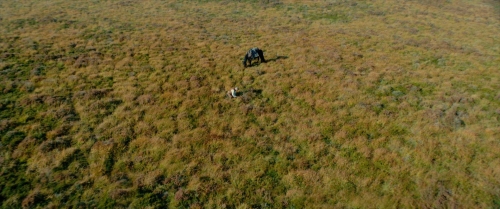 The Promised Land 06