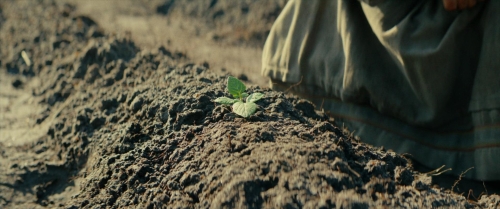 The Promised Land 41