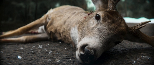 The Sacrifice Game 24