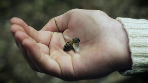 The Sleeping Beauty 22