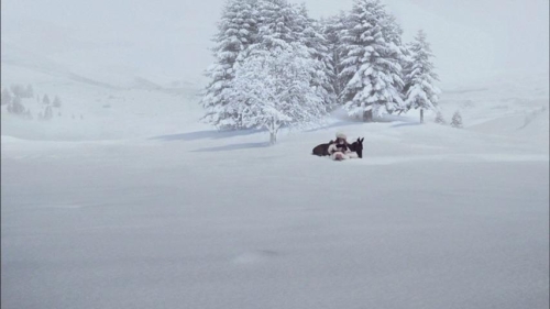 The Sleeping Beauty 44