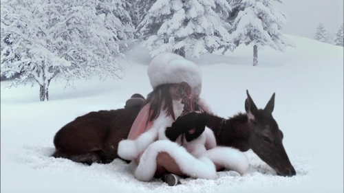 The Sleeping Beauty 45